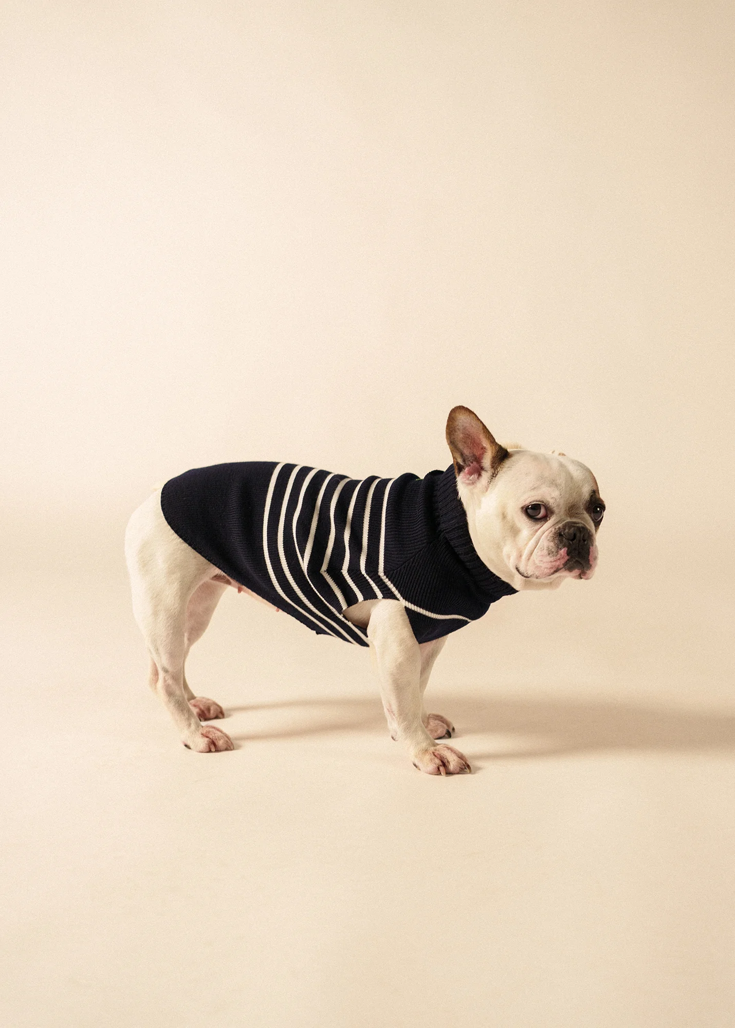Toutoupull phosphorescent - en laine (NAVY/PHOSPHORESCENT)